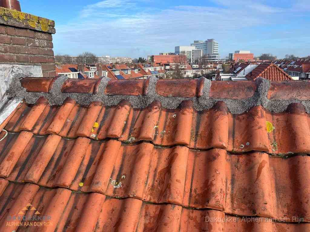 Alphenaandenrijn Daken Renoveren Alphenaandenrijn Daken Renoveren
